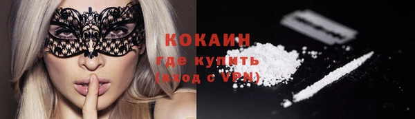 Альфа ПВП Лагань