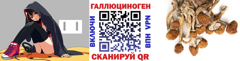 Купить  Могоча  Псилоцибиновые грибы GOLDEN TEACHER 